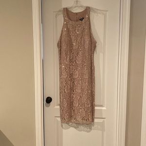 Mauve dress with lace and sequin detail. Hits at the knee. Size 24 new with tags